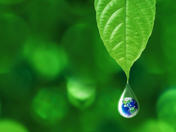 We are a green hotel.