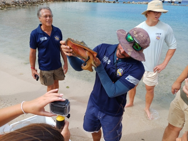 Pilot Project for the Reintroduction of Queen Conch in the Bay of the Corendon Mangrove Beach Resort